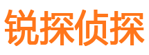 新邵市私家侦探